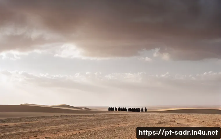 Descubra os Países que Ousaram Reconhecer a Independência da RASD 4 사하라 아랍 민주 공화국 독립 승인 국가 목록 관련 이미지 2