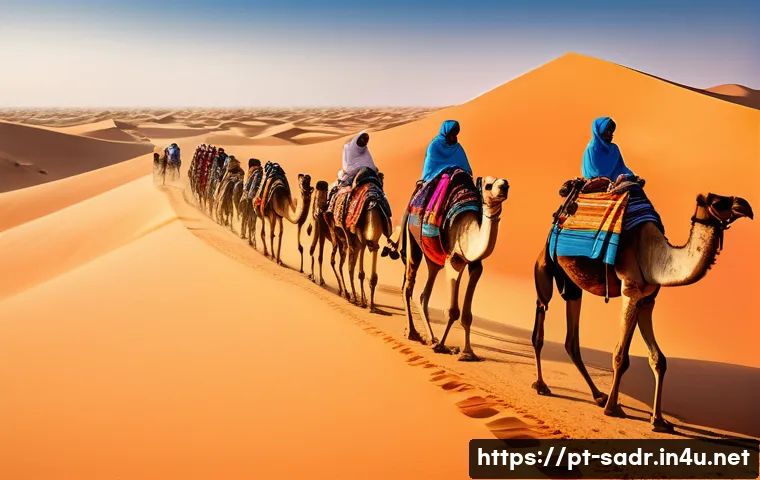 7 maneiras surpreendentes de se locomover no Sahara Árabe Democrático sem gastar muito 3 사하라 아랍 민주 공화국 내 이동 수단 관련 이미지 1